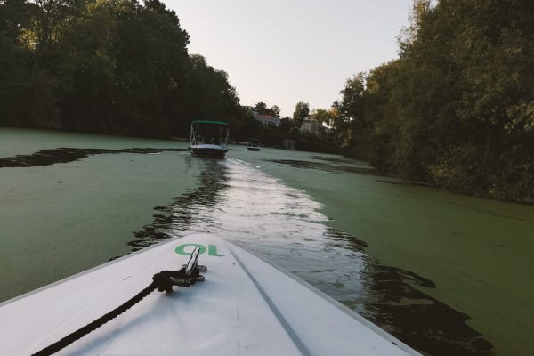 bateau sans permis sur la sèvre nantaise