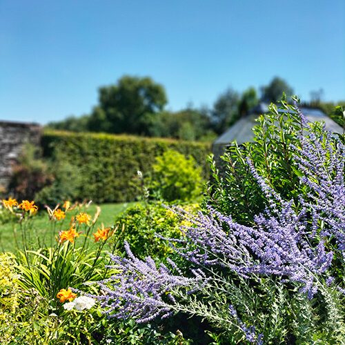 les fleurs de la propriété