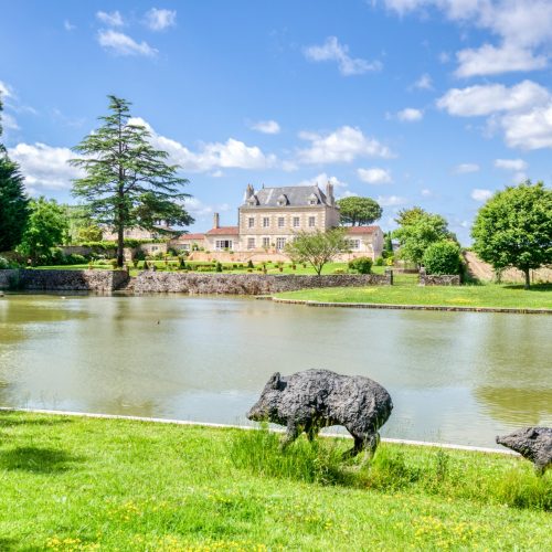 balade du côté de l'étang